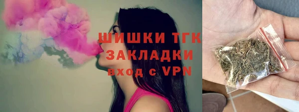 индика Навашино