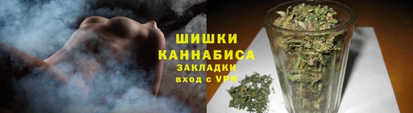 индика Навашино