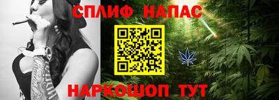 прущие грибы Апшеронск