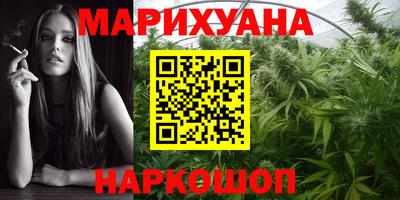 прущие грибы Апшеронск