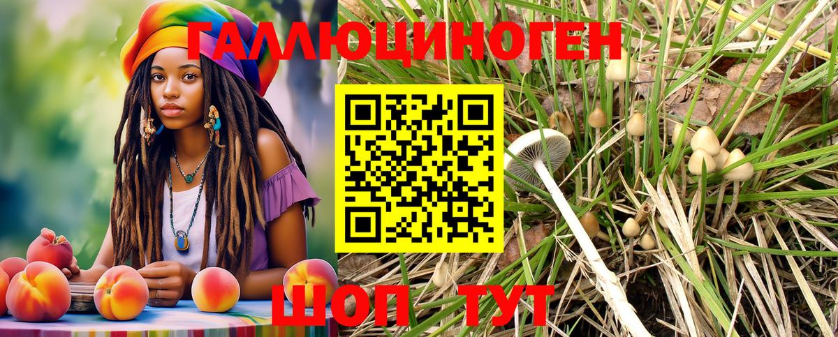 Галлюциногенные грибы Psilocybe Асбест